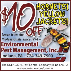 Yellow Jackets Hornets Coupon