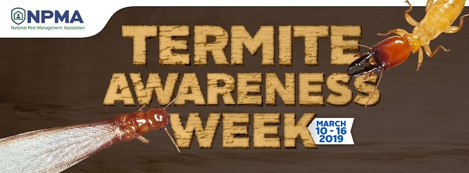 Termite Awareness Week